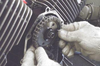 Remove the two screws, slide the timing gear off