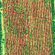 Generate a planting or seeding prescription map using previous years yield data and soil characteristics to maximise yield potential and minimise input costs.