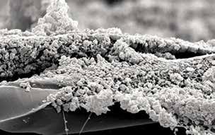 efficiencies to meet specific application needs 10 MICRON PARTICULATE AT 600X Cellulose