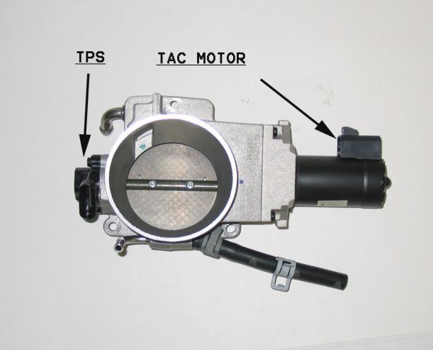 TPS and TAC motor 16