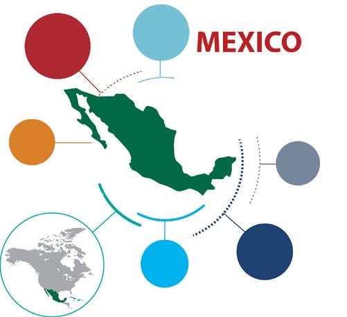 4 million vehicles produced in Mexico in 2015 149% Growth from 2009-2015 US auto parts export There are currently 10 passenger vehicle manufacturers in Mexico, including, General Motors, FCA Group,