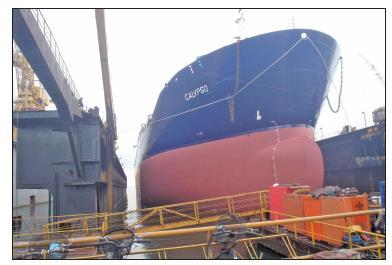 Ship trial case study - Calypso Results from 24-months trial with Selektope paint Calypso 46,067dwt IMO II chemical and