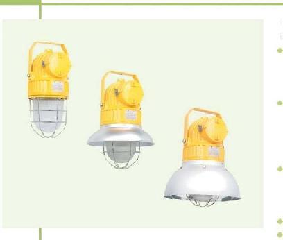 Lighting Technology Catalogue number logic B0091-0 -0 0 0 Pendant Light Fittings BDD91 Series Explosion-proof Light Fittings Explosion protection to -CENELEC -IEC -NEC Can be used in Zone 1 and Zone