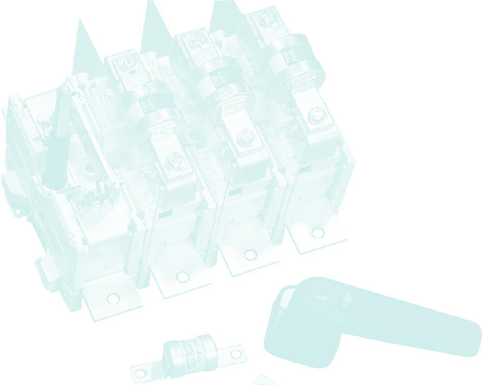 Overview Key Features 80kA short-circuit capacity Housed or skeleton versions Integral cable spreading facility with choice of position IP rated switch disconnectors Switch disconnectors in sheet
