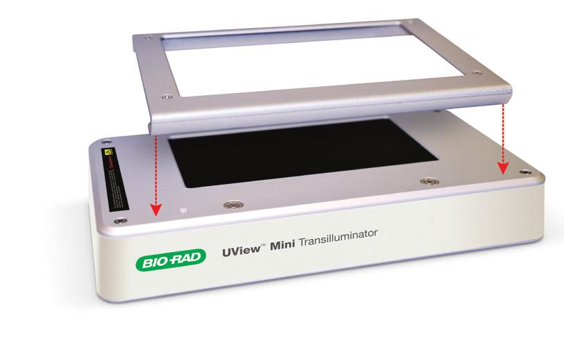 transilluminator and UV shield.