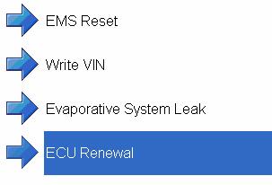 Guided Routines: These are step by step instructions to perform certain operations for example, ECU renewal.