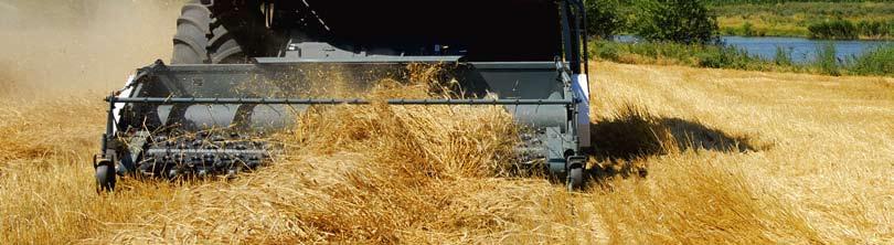 Rape adapter for 5/6/7 m headers allows to reduce field losses by 3-4 times and to harvest additional 30-100 kg of