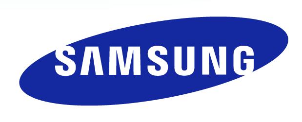 Samsung Electronics Co. LTD. Digital-Air-Solution Division, Sales & Marketing Team, SE Dept.
