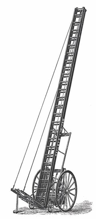 Bayley Ladders The Bayley brand, with swaged rung construction, offers a cost effective solution for