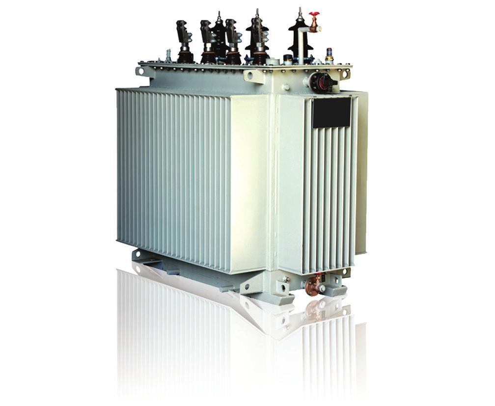 Distribution transformer Oil-type transformer Oil-insulated transformer can be provided with