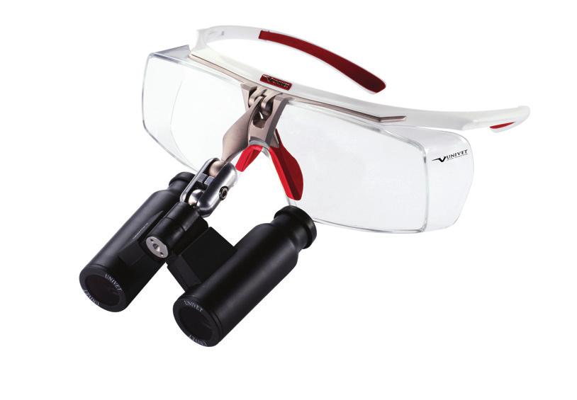 Laser Flip-up loupes are special products that combine design and technology, with particular