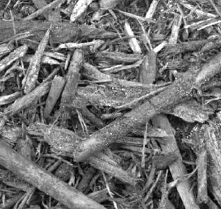 of wood chips containing