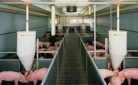 850 Versatile possibilities of DRY RAPID In a sow house: