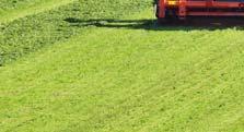 50 m raking width can gather up to 20 or 30 m of forage to form uniform windrows, so the harvesting machines that