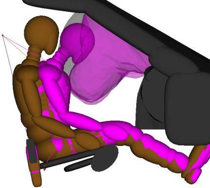 simulation runs in this specific scenario (including reference simulation runs with the dummy in nominal position) were also performed with cleared contact at the described areas.