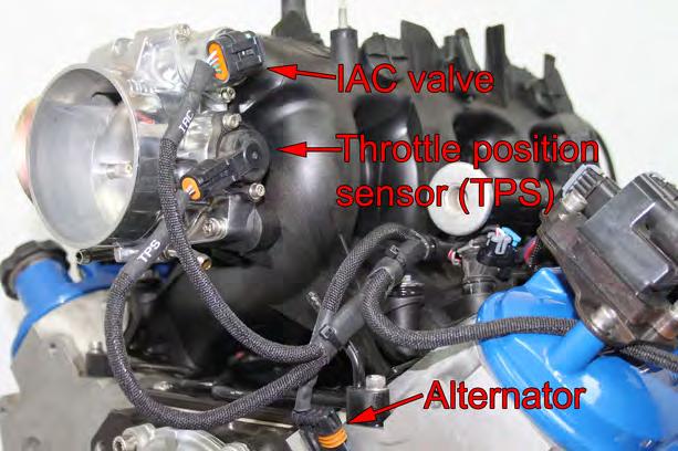 Under the hood, start with the odd numbered cylinder branch of the harness, and position it along or under the injector fuel rail.