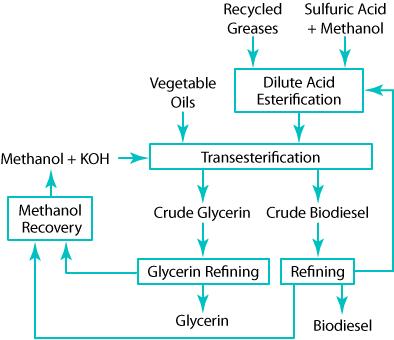 glycerin and methyl esters. The general diagram of a biodiesel production pathway is presented in Figure 7.