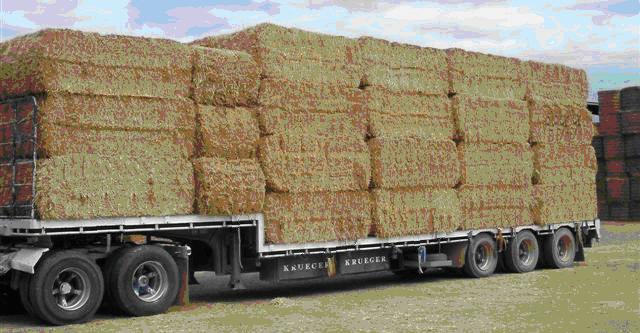 6 HAY TRUCKS Load restraint for hay bales The safe loading of vehicles is vitally important in preventing injury to people and damage to property.