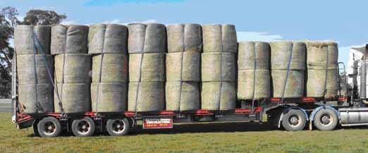 The registered vehicle operator and the driver are both responsible for ensuring that a vehicle used to transport baled hay is loaded correctly and the load is properly restrained.