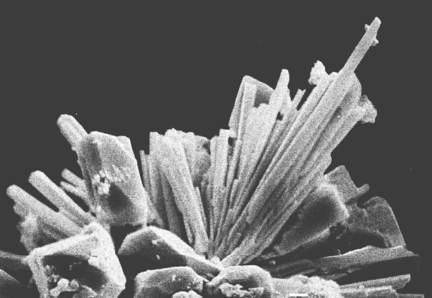 Fig. 6: Sulfate dendrites (several mm long) [3] A coarse crystal structure of lead