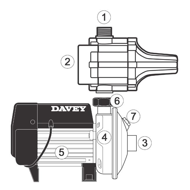 Prior to using this pump you must ensure that: The pump is installed in a safe and dry environment The pump enclosure has adequate drainage in the event of leakage Any transport plugs are removed The
