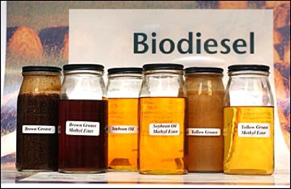 BIOFUEL Biofuel Solid Biofuels Liquid