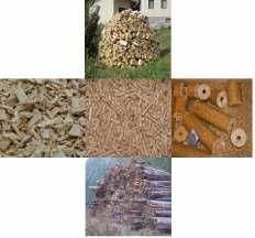 3.4.2 Lesna biomasa Med lesno biomaso uvrščamo les iz gozdov (hlodi, vejevje, grmovje, itn.