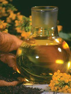 Rapeseed oil as a biofuel (2) Pure Plant Oil / Straight Vegetable Oil (SVO), eg Ireland, Germany Unaltered oil can be used as a