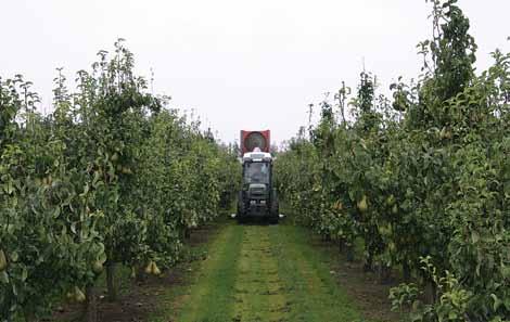 VisiFlo Flat Spray Tips Typical Applications: Excellent: Use for directed applica tions in air blast spraying for orchards and vineyards and other specialty crops.