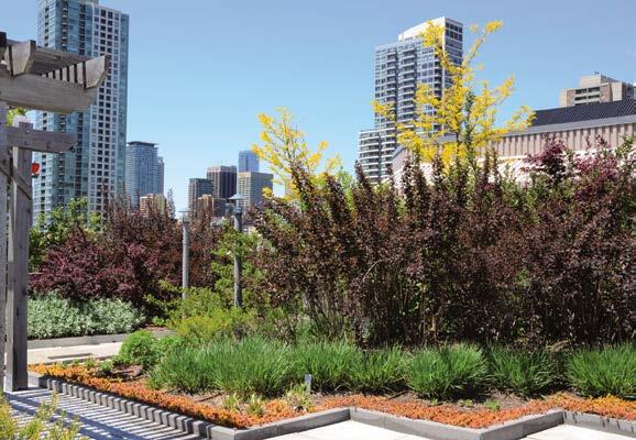 MICRO RAISE THE ROOF & ROLL OUT THE CARPET Eco-Mat is the ideal solution for any green roof drip application Green roofs are a key component of sustainable urban environments.