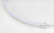 Decorative & Line-Lighting Neon Flex Professional Neon Flex Professional is a high quality, flexible, 24V rope