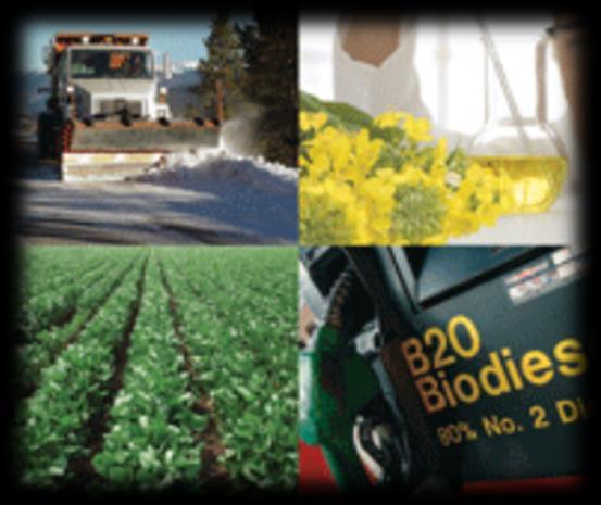 Fuel Consumption Biodiesel Americas First Advanced Biofuel Robert