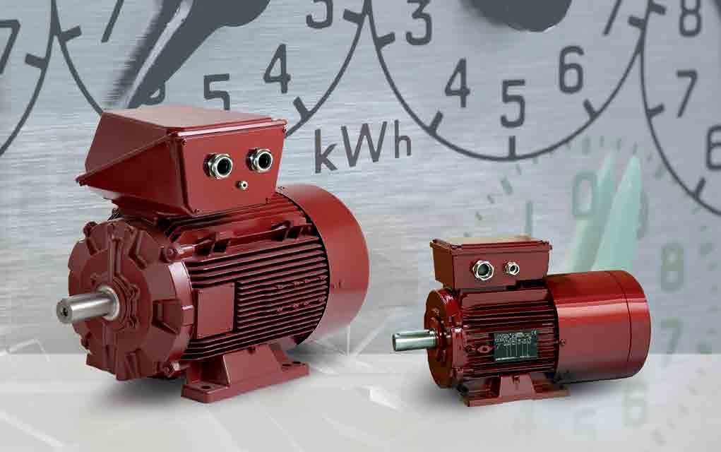 Dyneo motors range 0.75 kw to 500 kw Tried-and-tested technology Alliance of magnet rotor technology and the induction motor's tried-and-tested mechanism.