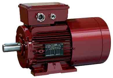 Introduction LSRPM motors Description of motors Description Materials Comments Housing LSRPM: Aluminum alloy - With integral or screw-on feet, or without feet - 4 or 6 fixing holes for housings with