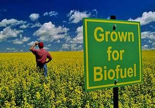other materials Liquid biofuels can be used for