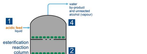 Flowsheet: Esterification Process description Esterification proceeds by a simple, continuous process in a reactive distillation column.