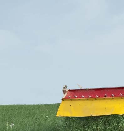 Adjustable guide vanes distribute the flow of crop over the whole mowed width.