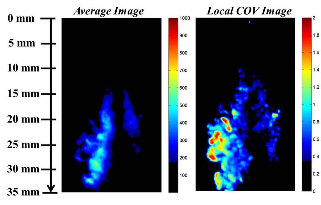 5 ms ASOI Tests were also undertaken at 15% oxygen in a 1300 K charge-gas environment, with the fourteen acquired images shown in Figure 7.