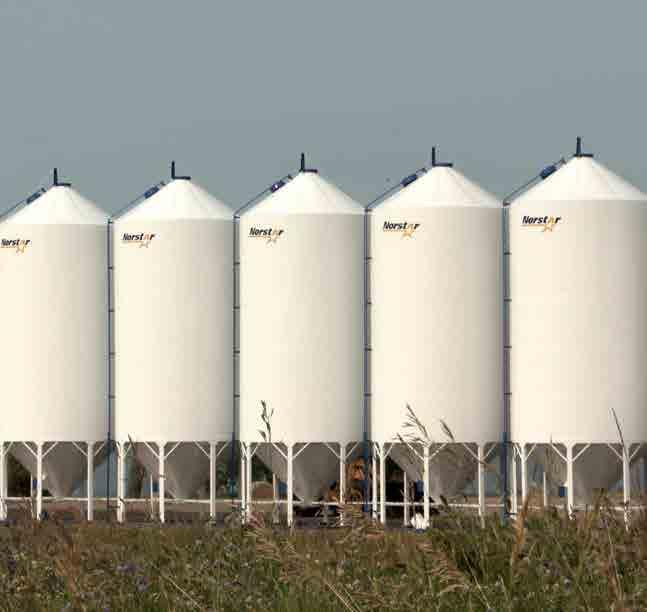 MULTI-PURPOSE/FERTILIZER STORAGE Norstar Multi-Purpose Bins provide you with the ability to store fertilizer, grain, seed and a variety of other free flowing dry commodities depending on your needs.