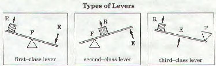 To find the MA of a lever, divide the output force by the input force, or divide