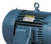 12 Severe Duty Super-E ECP/XEX NEMA Premium Efficient Motors Designed to meet the demanding application requirements typically found in severe duty processing environments.