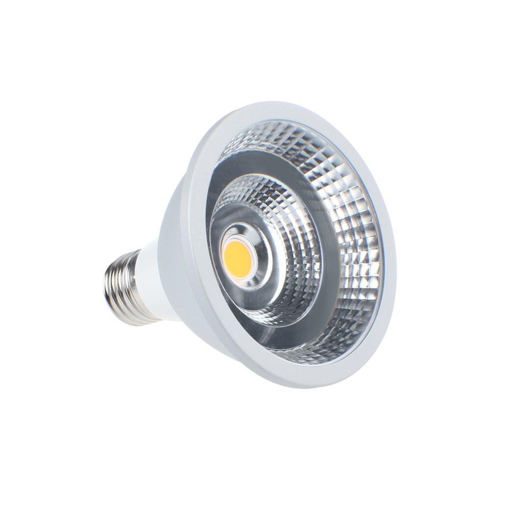 PAR 30 LED REPLACEMENT LAMPS LED replacement lamp for all fixtures that use standard PAR 30 lamps. The LED lamp uses less power than your standard PAR 30 incandescent lamps.