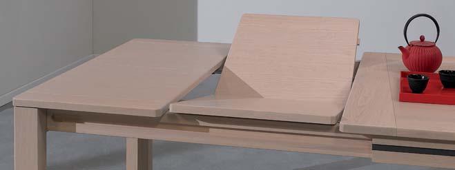 490951 Table rectangulaire 180 x 100 cm - Plateau et allonges