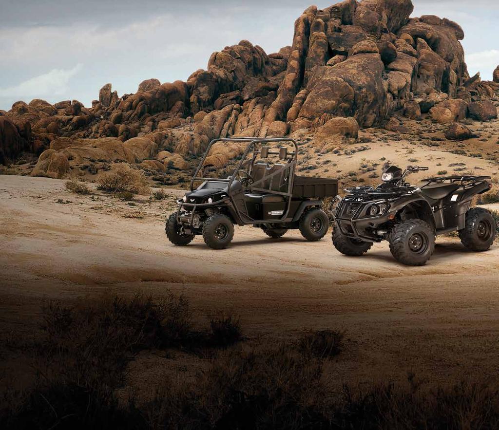 CHOOSE YOUR ADVENTURE. GAS, ELECTRIC OR HYBRID POWER. SIDE-BY-SIDE OR ATV. WHEREVER YOU RE GOING, WE VE GOT YOUR RIDE.