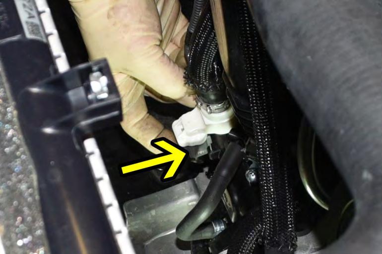 Unplug the white crankcase sensor from the grey connector as shown.