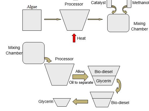 Biomass Collection: The biomass was collected after the filtration and it is weighted. Evaporation: The extracted oil was evaporated to release ether solutions and hexane by using rotary evaporator.