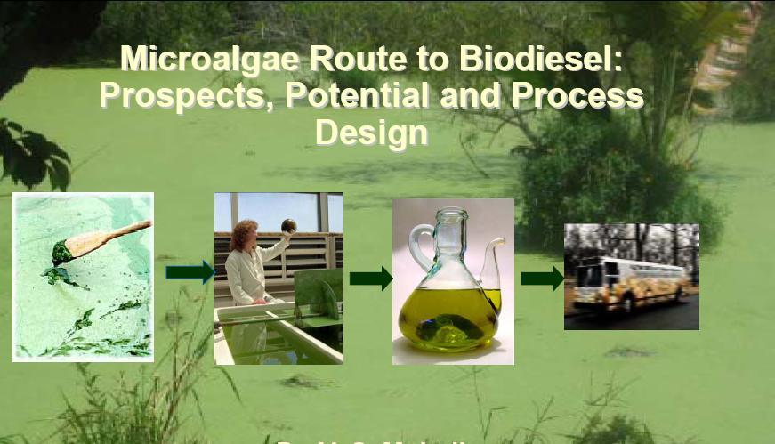 Biodiesel from Algae: Challanges,