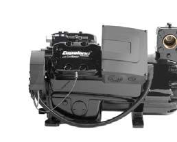 The Discus range: It is broadly recognized as the most efficient compressor whatever the running condition.