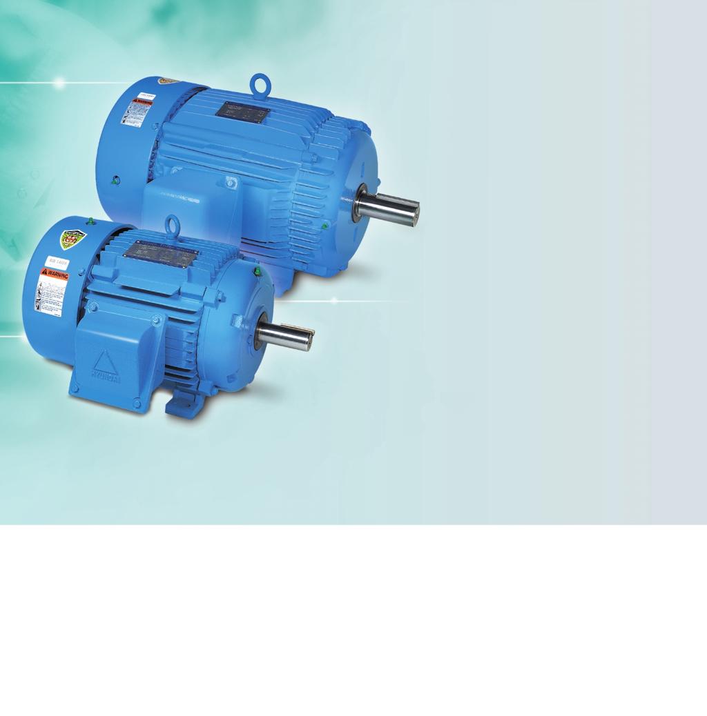 IEEE81 Motors IEEE81 Chemical & Process Motors Optional Features Special voltages Two speed motors Special shaft designs and materials Special PROTEC TM