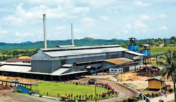 Sg. Tong Palm Oil Mill Kilang Kelapa Sawit Sg. Tong Plantation Division The Plantation Division recorded a profit of RM114.5 million, compared with RM45.